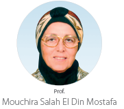 Professor Mouchira Salah El Din Mostafa