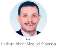 Professor Hesham Abdel-Meguid Katamish