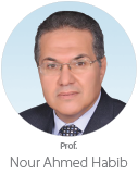 Professor Nour Ahmed Habib